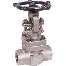 Image of Forged Stainless Steel Valves