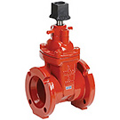 Image of 200MW Mechanical Joint Ductile Iron Gate Valve- AWWA Certified