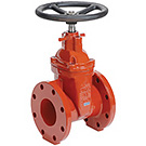 Image of 200WW Flanged Ductile Iron Gate Valve- AWWA Certified 