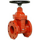 Image of 200WD Ductile Iron Flanged Gate Valve