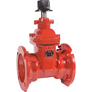 Image of Ductile Iron Gate Valves - AWWA, UL/FM - Resilient Wedge