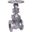 Image of Cast Steel Valves