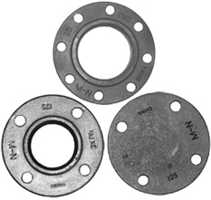 CAST IRON COMPANION, REDUCING & BLIND FLANGES