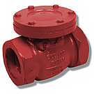 Image of 120S Cast Iron Threaded Check Valve