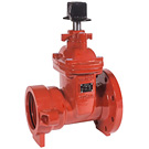 Image of 225FP AWWA C515 Ductile Iron Flanged x Push-On (C900 / DI Pipe) Valve