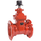 Image of 225M AWWA C515 Ductile Iron Mechanical Joint Valve