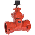 Image of 225RT AWWA C515 Ductile Iron Push-On x Push-On (C900 / DI Pipe) Valve 