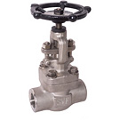 Image of 505FSST Forged Stainless Steel Globe Valve - Threaded